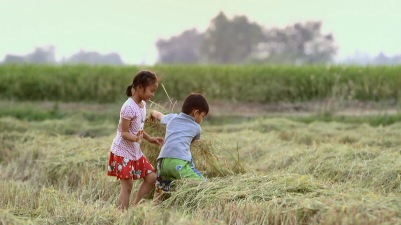 The Sacred Grain: Thailand's Rice Goddess Phosop and Cultural Traditions video poster