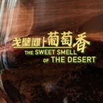 The_Sweet_Smell_of_the_Desert__Xihaigu_s_Transformation_into_Ningxia_s_Wine_Oasis video poster
