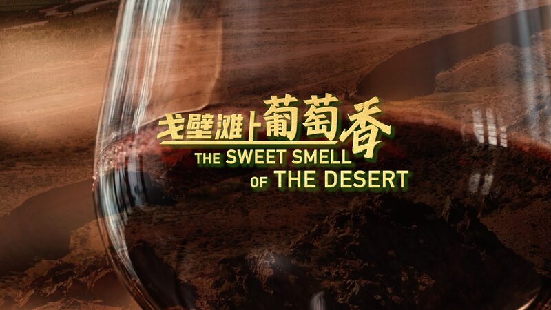 The_Sweet_Smell_of_the_Desert__Xihaigu_s_Transformation_into_Ningxia_s_Wine_Oasis_poster - Khabar Asia The_Sweet_Smell_of_the_Desert__Xihaigu_s_Transformation_into_Ningxia_s_Wine_Oasis video poster
