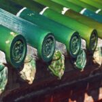 The Vibrant Green Hues of Ancient Chinese Architecture