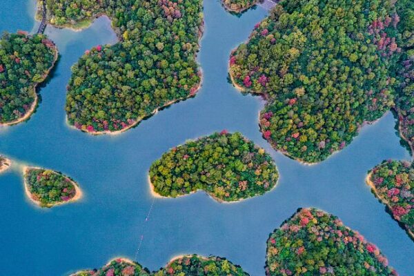 Thousand Island Lake: Hangzhou's Picturesque Puzzle of Green Islets