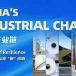 Thousands_of_Egrets_Find_Sanctuary_in_Ningbo_s_Industrial_Heartland video poster