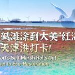 Tianjin_Port_s_Salt_Marshes_Turn_Bright_Red_in_Eco_Restoration_Effort video poster