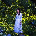 Tiantai Mountain Transforms into Enchanting Firefly Wonderland