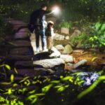Tiantai_Mountain__Chengdu_s_Summer_Gem_Illuminated_by_Fireflies