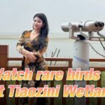 Tiaozini Wetland in Jiangsu: A Haven for Rare Migratory Birds video poster