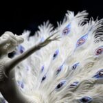 Timeless_Elegance__Dehua_Porcelain_Exhibition_Shines_at_Beijing_s_National_Art_Museum