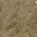 Timeless_Impressions__Discover_Ancient_Life_at_Luoyang_Han_Dynasty_Art_Museum