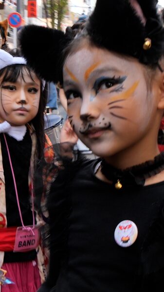 Tokyo_s_Kagurazaka_District_Transforms_into_a_Feline_Wonderland_for_Cat_Parade_poster - Khabar Asia Tokyo_s_Kagurazaka_District_Transforms_into_a_Feline_Wonderland_for_Cat_Parade video poster