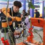 Tomato_Picking_Robot_Draws_Attention_at_China_Yangling_Agricultural_Hi_tech_Fair