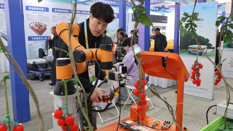 Tomato_Picking_Robot_Draws_Attention_at_China_Yangling_Agricultural_Hi_tech_Fair - Khabar Asia Tomato_Picking_Robot_Draws_Attention_at_China_Yangling_Agricultural_Hi_tech_Fair