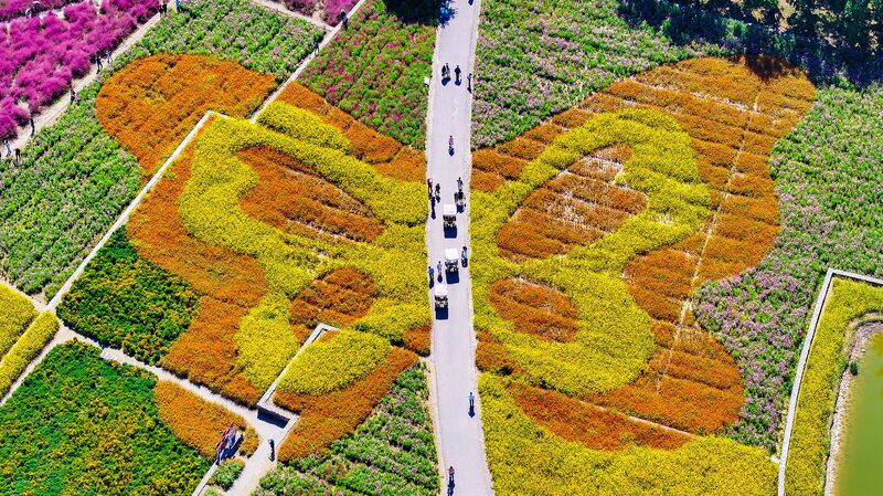 Tourists_Flock_to_Jiangsu_s_Santai_Mountain_for_Autumn_Flower_Spectacle