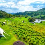 Tourists_Flock_to_Qiandao_Lake_s_Ideal_Garden_During_National_Day_Holiday