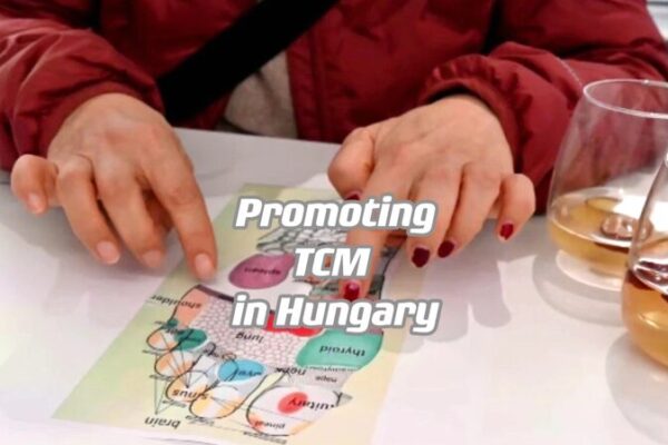 Traditional Chinese Medicine Wows Budapest in Cultural Exchange Traditional Chinese Medicine Wows Budapest in Cultural Exchange video poster