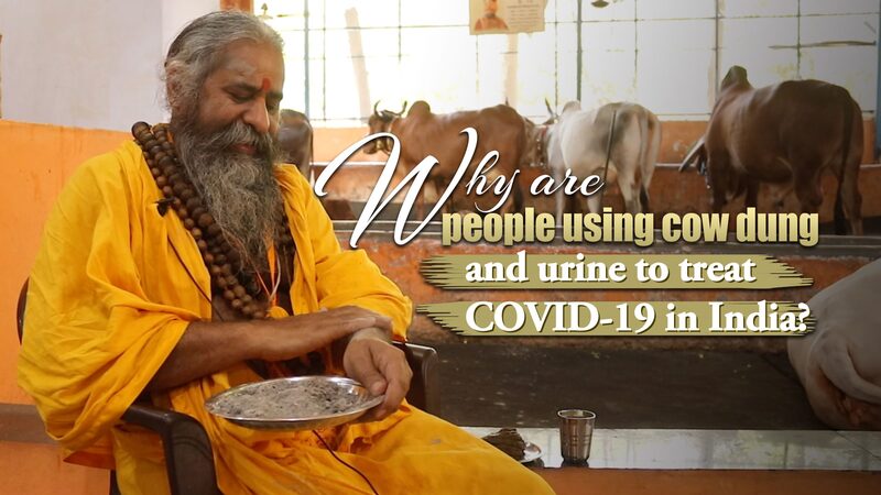 Traditional Remedies: India's Use of Cow Dung and Urine Amid COVID-19 video poster