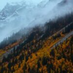 Trailblazers Protect Himalayan Biodiversity in Global Expedition video poster