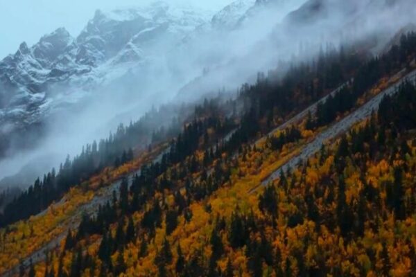 Trailblazers Protect Himalayan Biodiversity in Global Expedition video poster