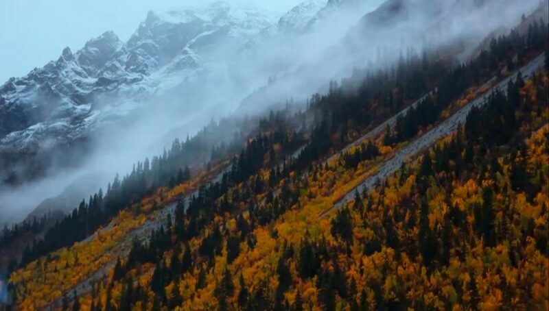 Trailblazers_Protect_Himalayan_Biodiversity_in_Global_Expedition_poster - Khabar Asia Trailblazers Protect Himalayan Biodiversity in Global Expedition video poster