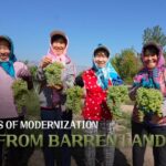 Transforming the Gobi Desert: Haoyuan Village Blossoms into a Wine Oasis video poster