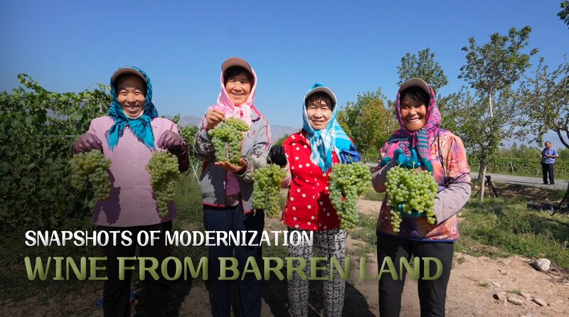 Transforming_the_Gobi_Desert_Haoyuan_Village_Blossoms_into_a_Wine_Oasis_poster - Khabar Asia Transforming the Gobi Desert: Haoyuan Village Blossoms into a Wine Oasis video poster
