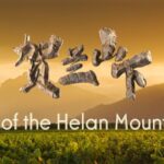 Transforming the Gobi: How Ningxia's Vineyards Turned Desert into Prosperity