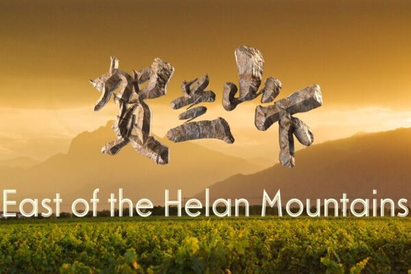 Transforming the Gobi: How Ningxia’s Vineyards Turned Desert into Prosperity Transforming the Gobi: How Ningxia's Vineyards Turned Desert into Prosperity
