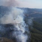 Tu_rkiye_Pledges_to_Plant_Over_500_Million_Seeds_to_Restore_Wildfire_Damaged_Forests - Khabar Asia Tu_rkiye_Pledges_to_Plant_Over_500_Million_Seeds_to_Restore_Wildfire_Damaged_Forests