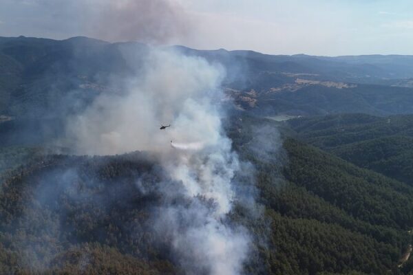 Türkiye Pledges to Plant Over 500 Million Seeds to Restore Wildfire-Damaged Forests Tu_rkiye_Pledges_to_Plant_Over_500_Million_Seeds_to_Restore_Wildfire_Damaged_Forests