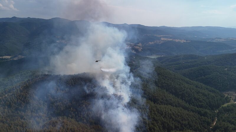 Tu_rkiye_Pledges_to_Plant_Over_500_Million_Seeds_to_Restore_Wildfire_Damaged_Forests - Khabar Asia Tu_rkiye_Pledges_to_Plant_Over_500_Million_Seeds_to_Restore_Wildfire_Damaged_Forests