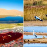 Two_of_China_s_natural_heritage_sites_added_to_World_Heritage_List