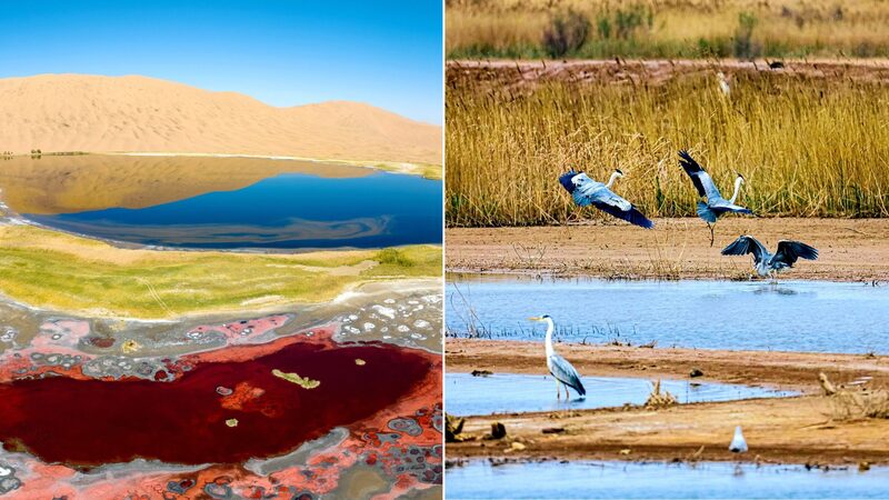 Two_of_China_s_natural_heritage_sites_added_to_World_Heritage_List