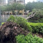 Typhoon Doksuri Slams into Southeast China, Triggering Red Alert video poster