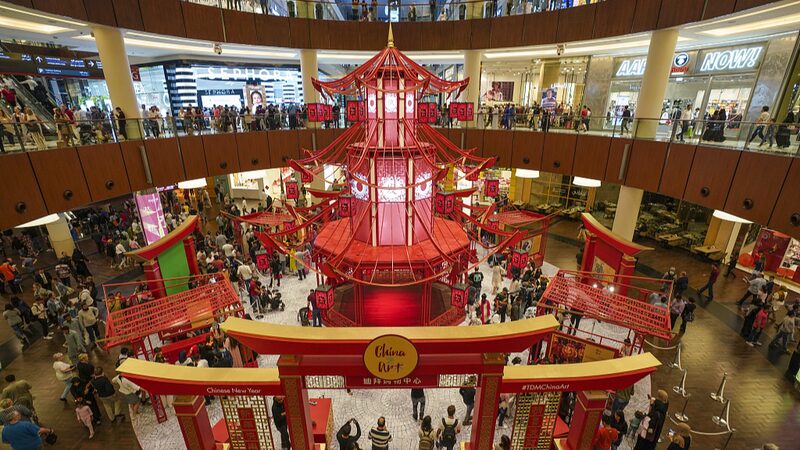 UAE Celebrates Chinese New Year, Marking 40 Years of Diplomatic Ties with China video poster