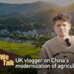 UK Vlogger Explores China's Path to Agricultural Modernization video poster