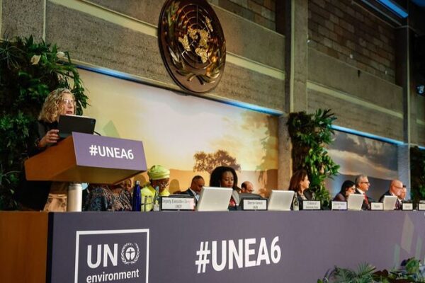 UNEA-6: Calls for Improved Governance to Tackle Global Ecological Challenges