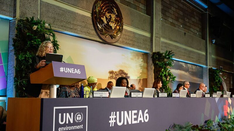 UNEA-6: Calls for Improved Governance to Tackle Global Ecological Challenges