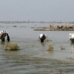 UNFCCC Chief Warns Climate Change Fuels Hunger and Conflict