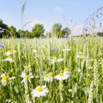 UN Appoints Astrid Schomaker as New Biodiversity Chief