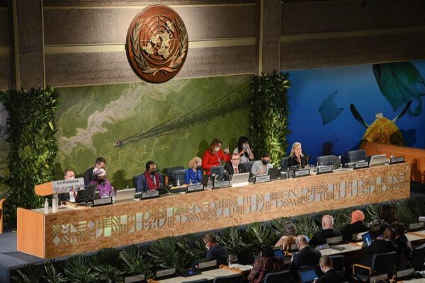 UN Assembly Gathers in Nairobi to Tackle Global Environmental Crises UN Assembly Gathers in Nairobi to Tackle Global Environmental Crises