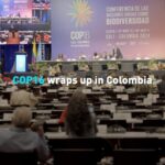 UN_Biodiversity_Conference_Concludes_in_Colombia_with_Global_Commitments_to_Conservation video poster