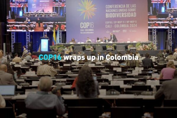 UN Biodiversity Conference Concludes in Colombia with Global Commitments to Conservation UN_Biodiversity_Conference_Concludes_in_Colombia_with_Global_Commitments_to_Conservation video poster