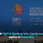 UN_COP16_Biodiversity_Conference_Opens_in_Colombia_With_Calls_for_Increased_Funding video poster