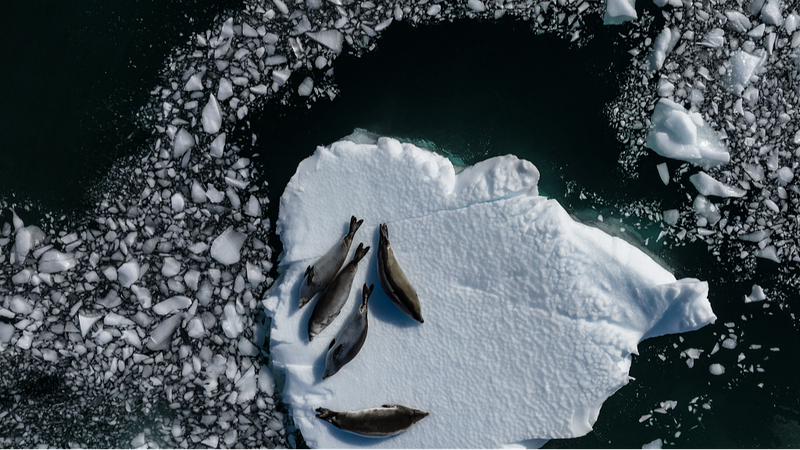 UN Calls for Ambitious Climate Pledges to Secure Global Future