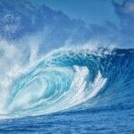 UN Calls for Immediate Action on Ocean Conservation at World Oceans Day Event