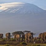 UN Declares 2027 as International Year of Sustainable and Resilient Tourism