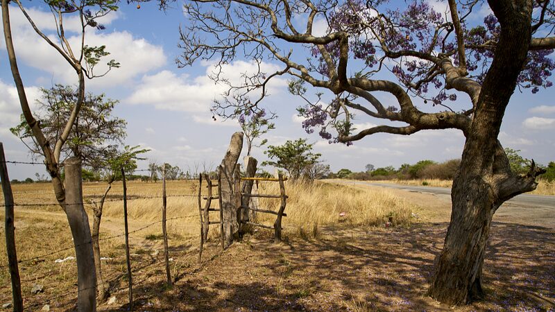 UN_Raises_Concerns_as_Zimbabwe_Declares_State_of_Emergency_Amid_Severe_Drought - Khabar Asia UN Raises Concerns as Zimbabwe Declares State of Emergency Amid Severe Drought