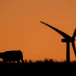 UN_Report_Urges_Immediate_Global_Action_to_Halt_Climate_Crisis
