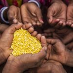 UN_Report__733_Million_People_Faced_Hunger_in_2023