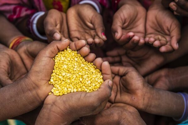 UN Report: 733 Million People Faced Hunger in 2023 UN_Report__733_Million_People_Faced_Hunger_in_2023