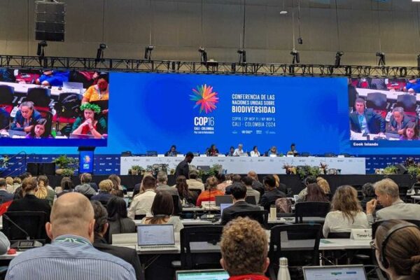 UN Summit Reaches Landmark Agreement on Genetic Data Payments UN_Summit_Reaches_Landmark_Agreement_on_Genetic_Data_Payments
